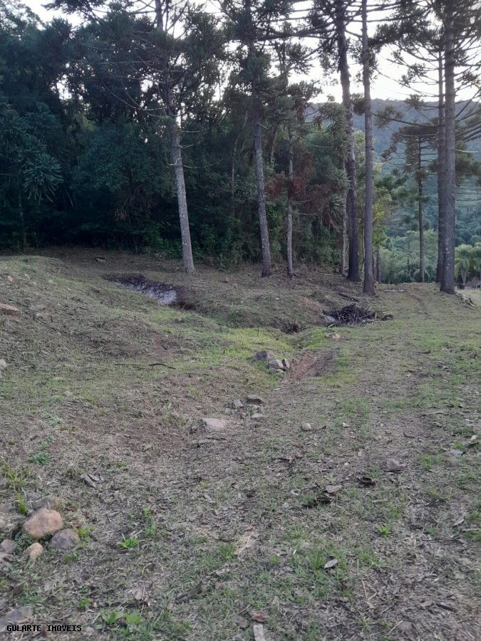 Terreno, 14 hectares - Foto 12