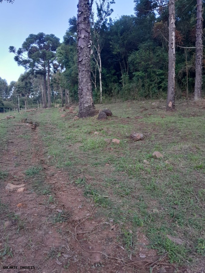 Terreno, 14 hectares - Foto 13