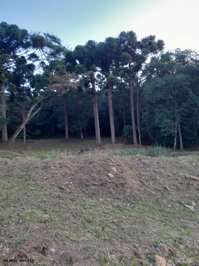 Terreno, 14 hectares - Foto 14