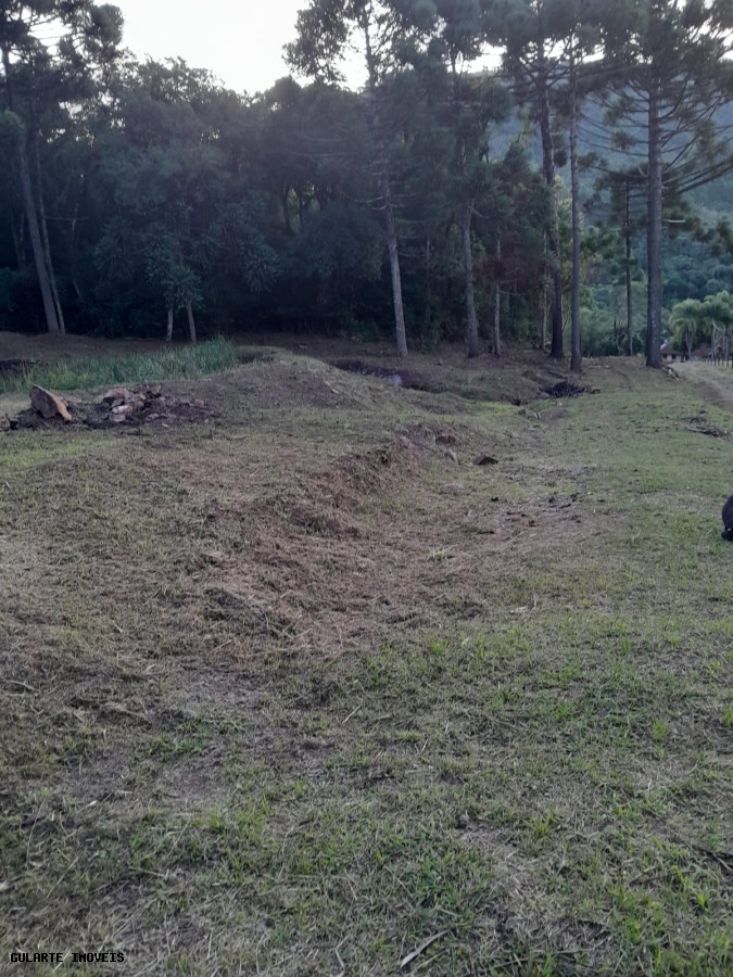 Terreno, 14 hectares - Foto 16