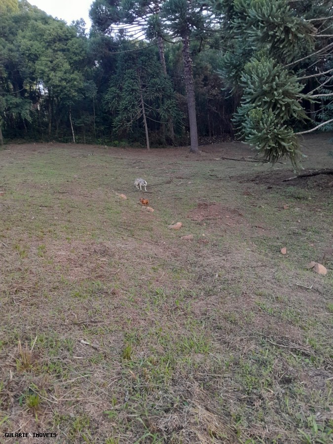 Terreno, 14 hectares - Foto 17