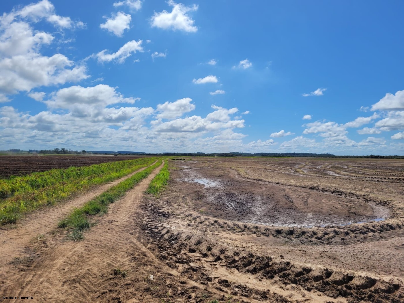 Chácara, 317 hectares - Foto 4