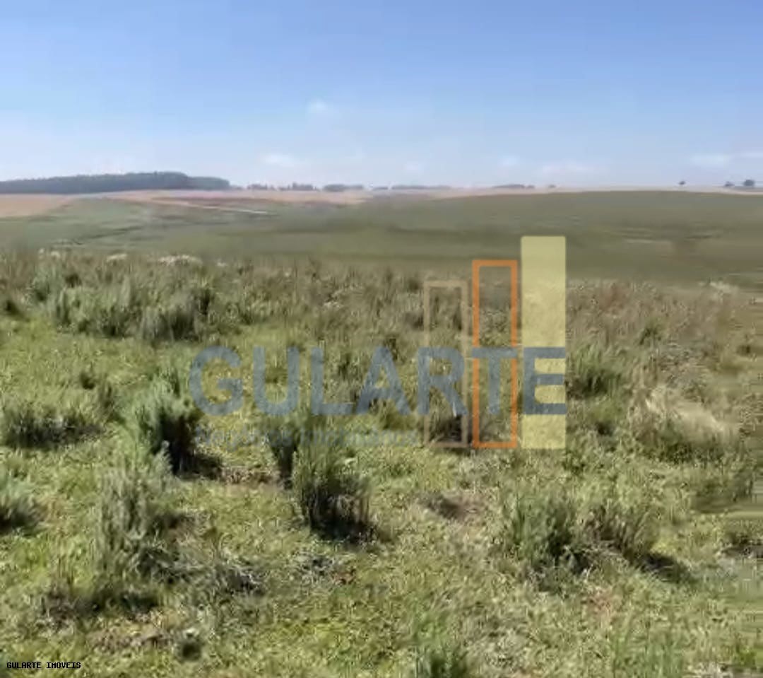 Chácara, 398 hectares - Foto 4