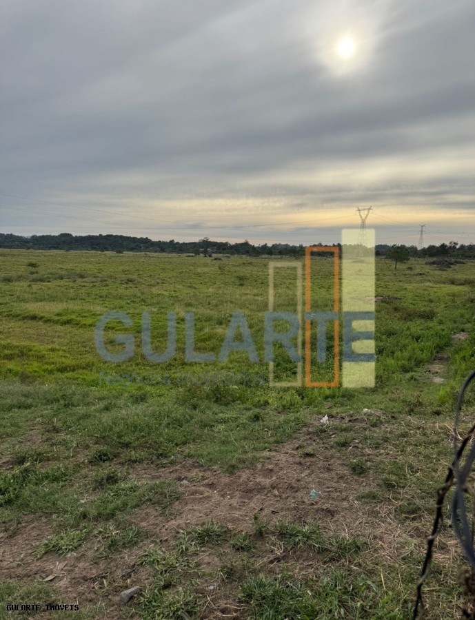 Chácara, 398 hectares - Foto 1