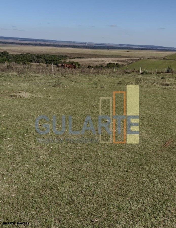 Chácara, 446 hectares - Foto 2