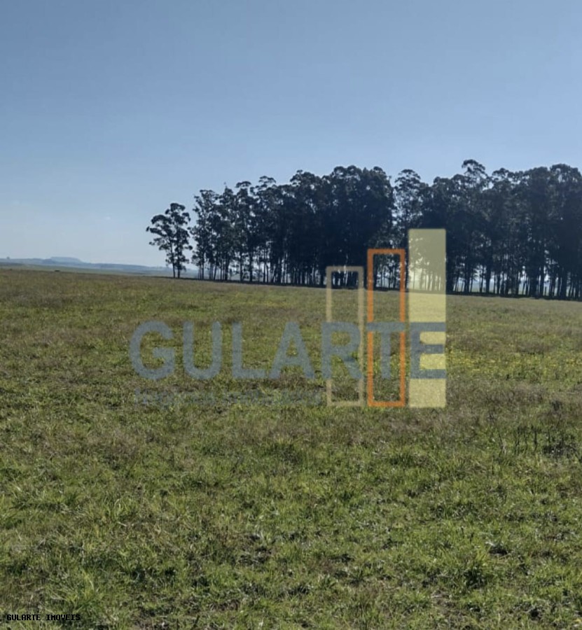 Chácara, 446 hectares - Foto 4