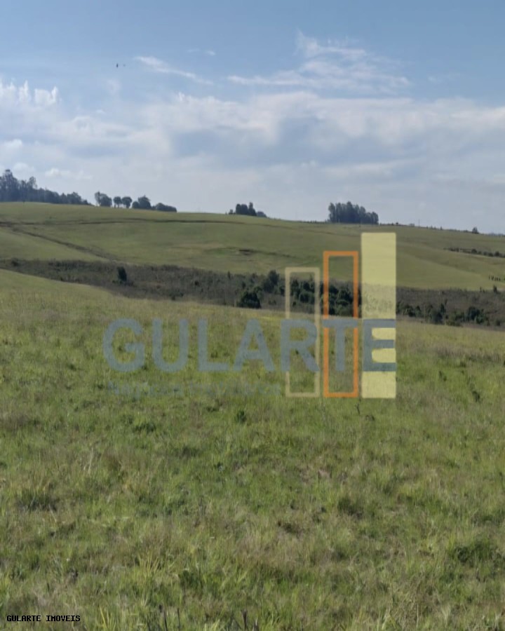 Chácara, 446 hectares - Foto 1