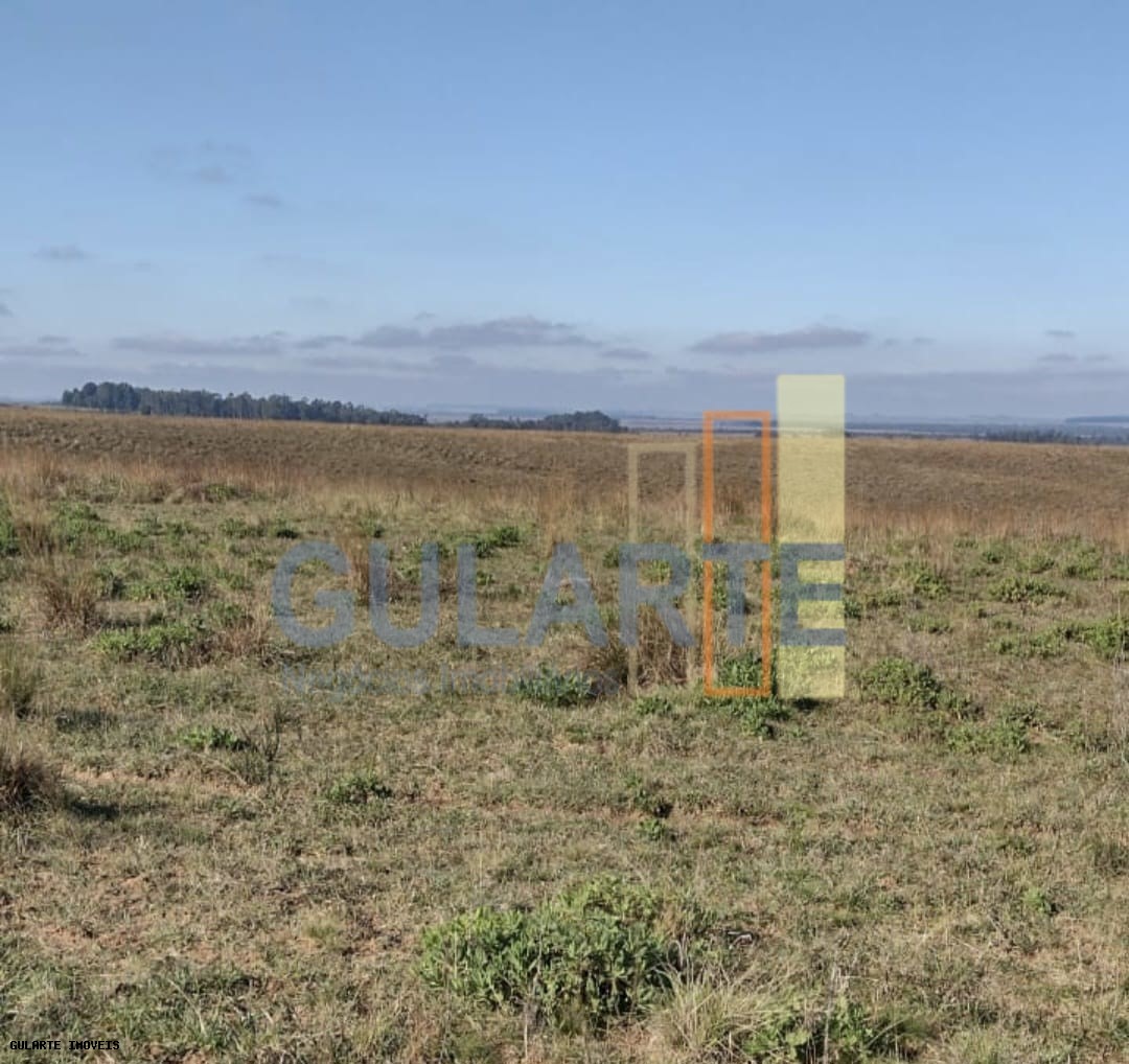 Chácara, 446 hectares - Foto 12