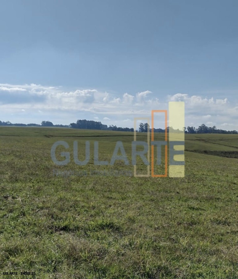 Chácara, 446 hectares - Foto 14