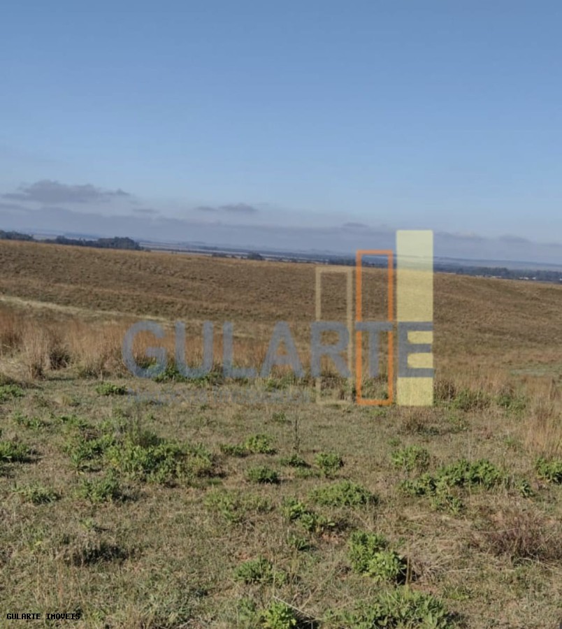 Chácara, 446 hectares - Foto 15