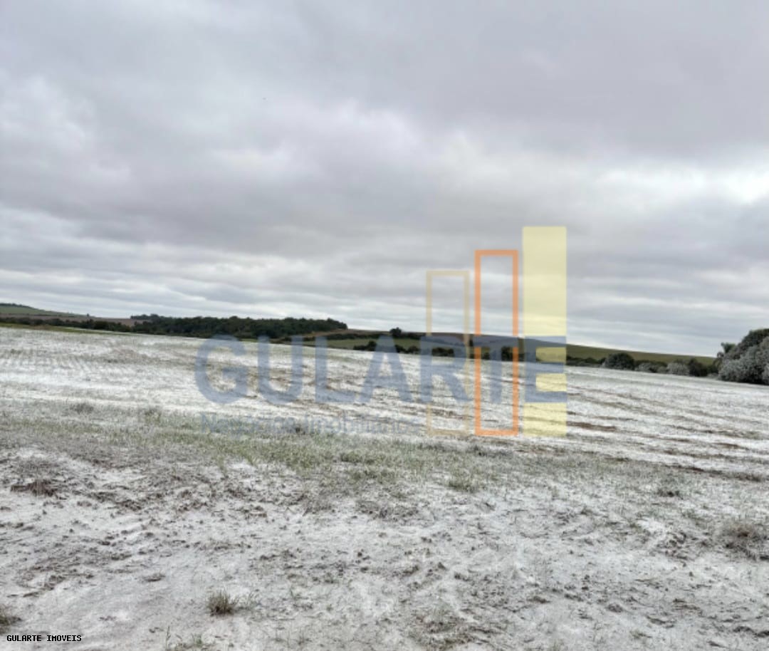 Chácara, 692 hectares - Foto 15