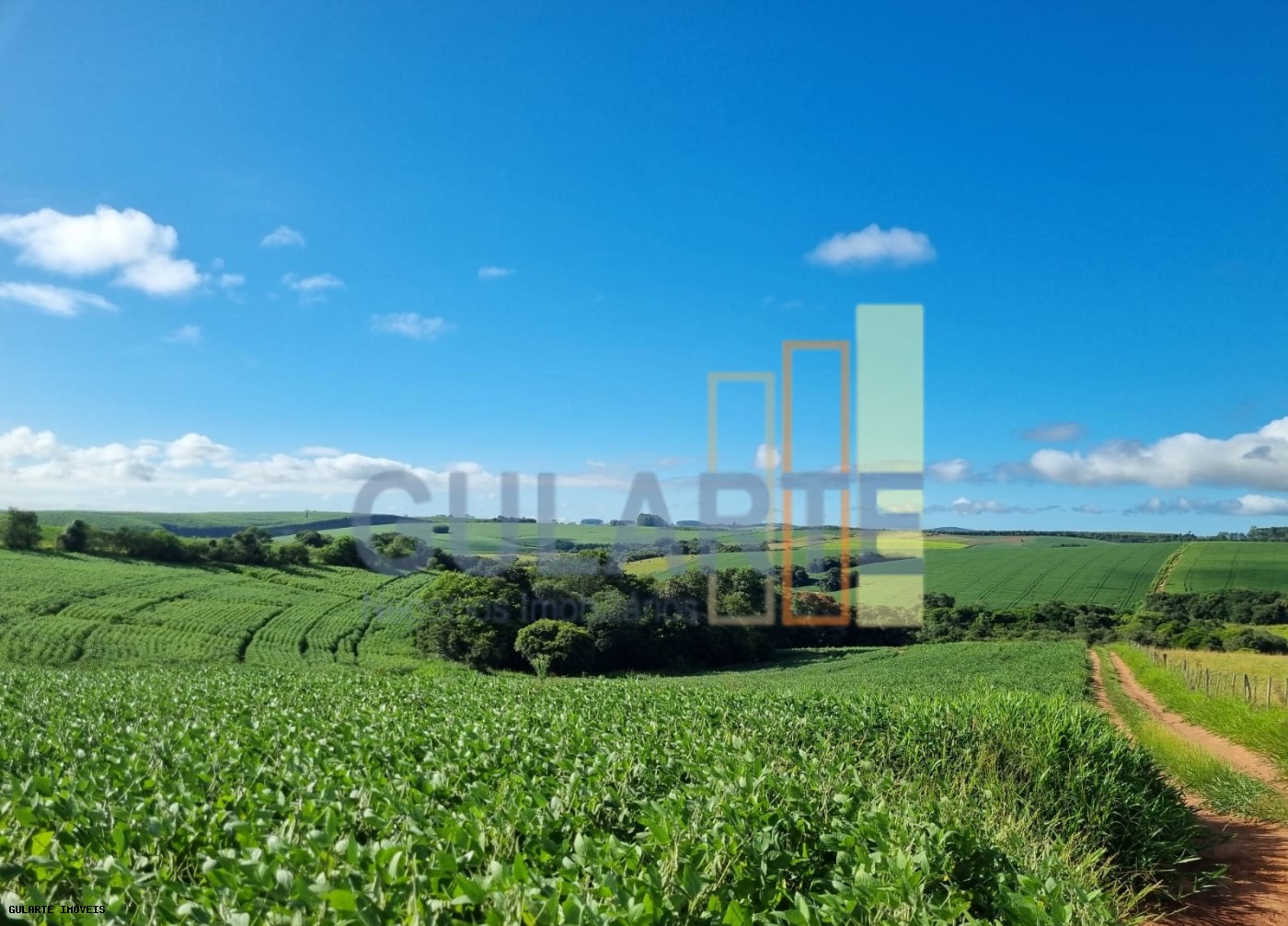 Chácara, 63 hectares - Foto 4