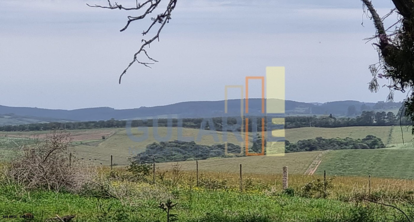 Chácara, 63 hectares - Foto 6