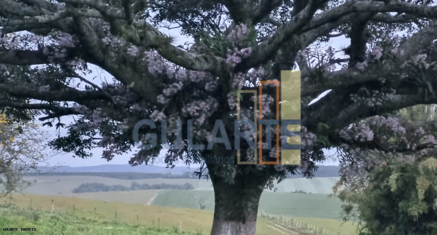 Chácara, 63 hectares - Foto 10