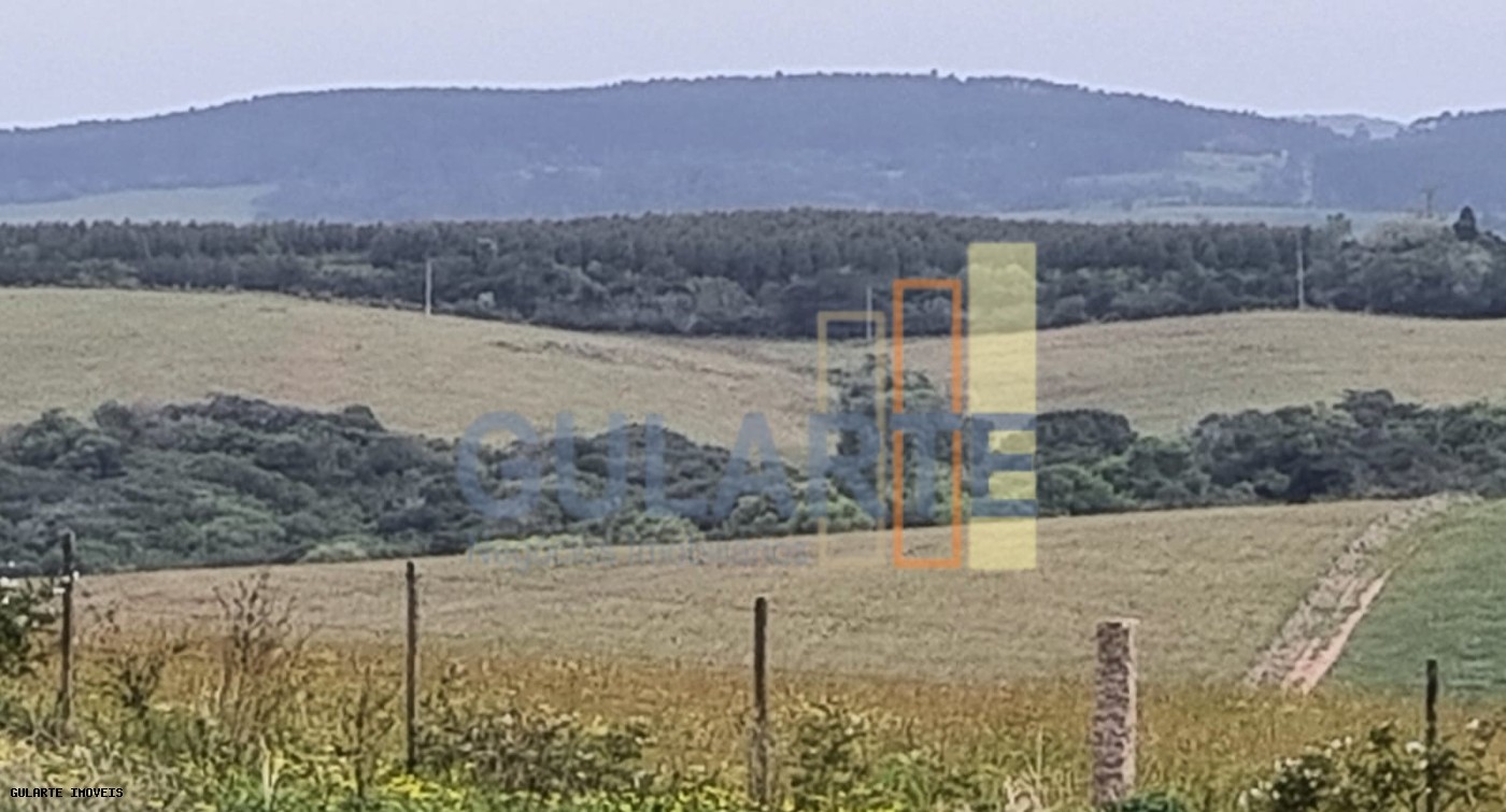 Chácara, 63 hectares - Foto 9