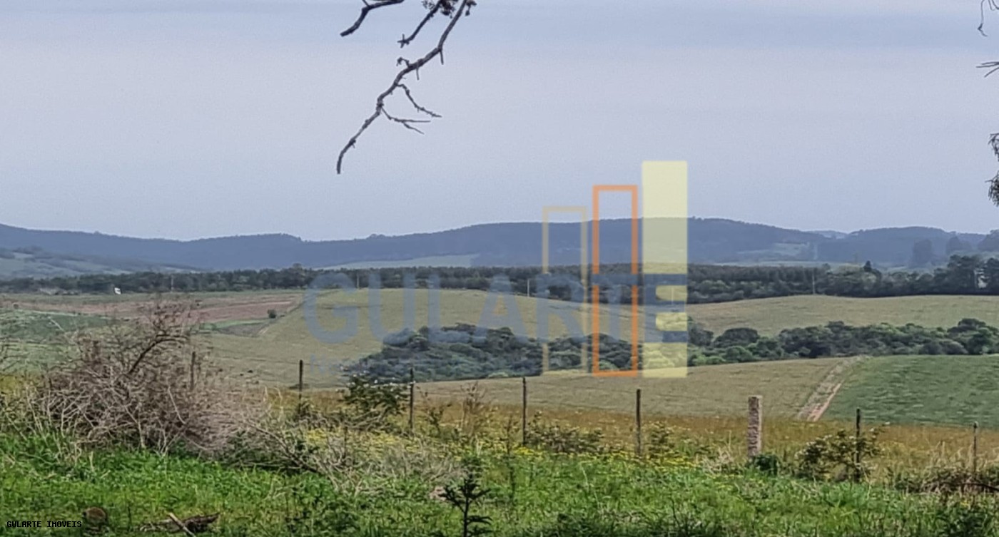 Chácara, 63 hectares - Foto 12