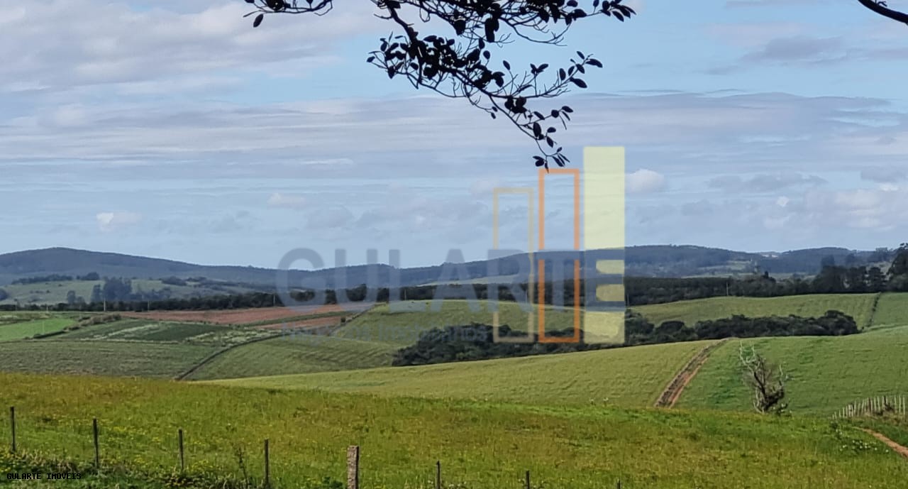 Chácara, 63 hectares - Foto 15