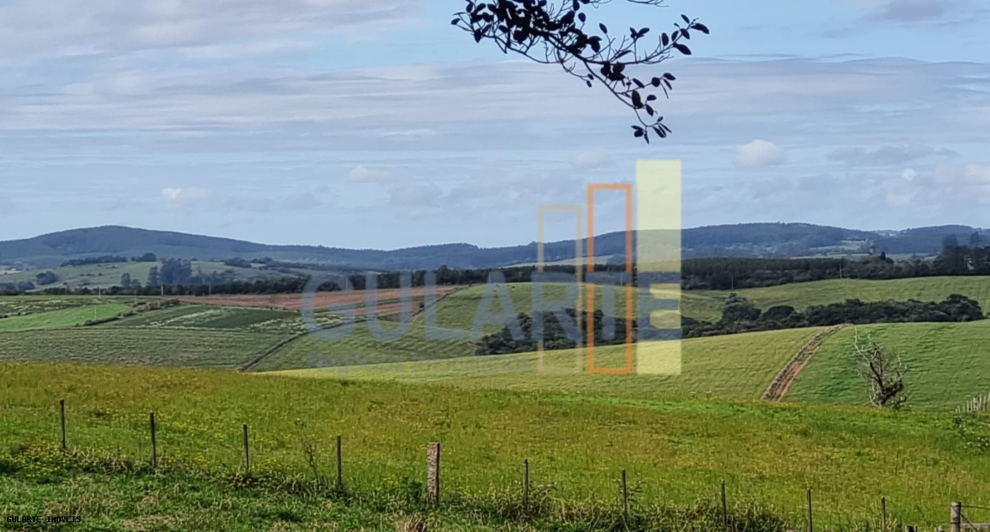 Chácara, 63 hectares - Foto 17