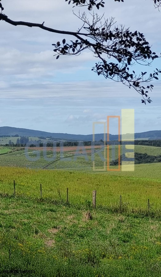 Chácara, 63 hectares - Foto 16