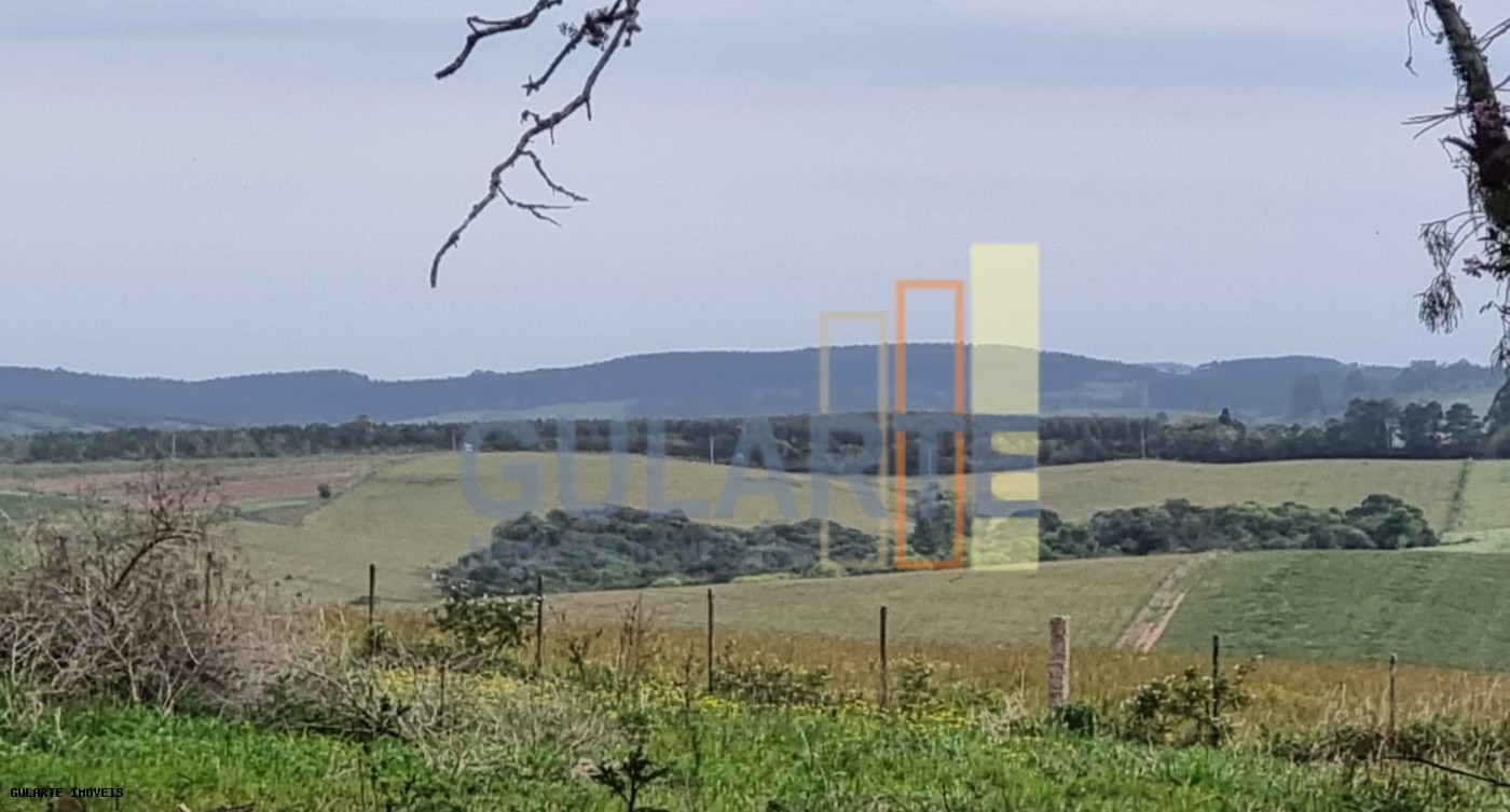 Chácara, 63 hectares - Foto 14