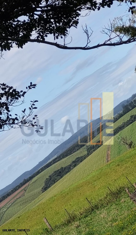 Chácara, 63 hectares - Foto 19