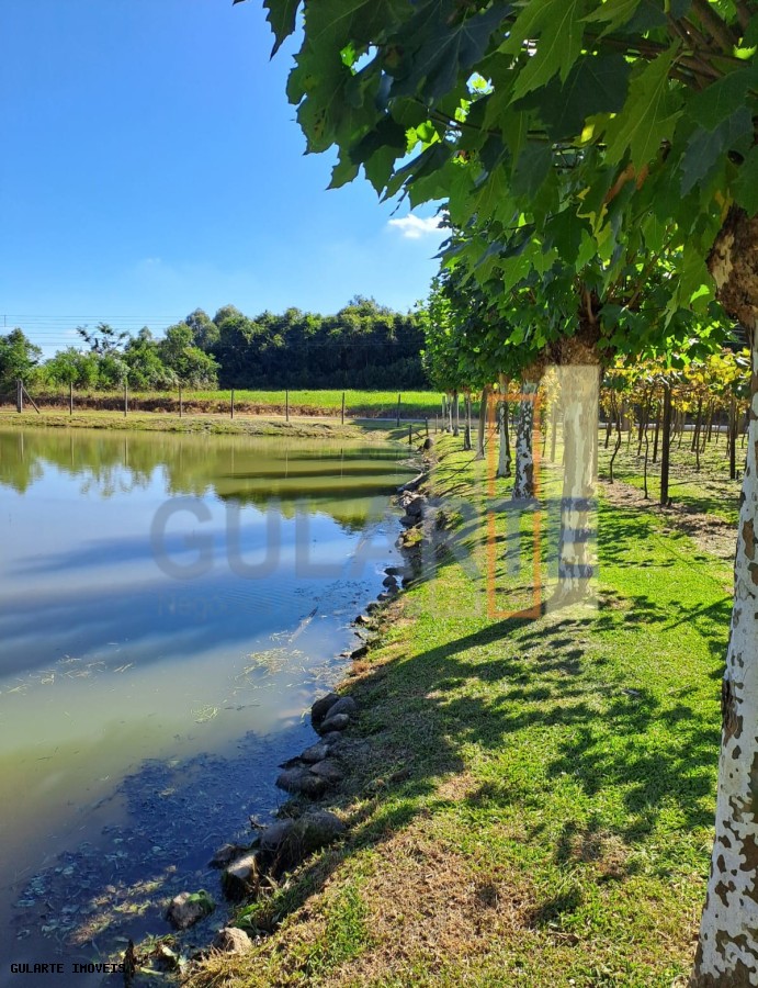 Chácara, 5 hectares - Foto 1