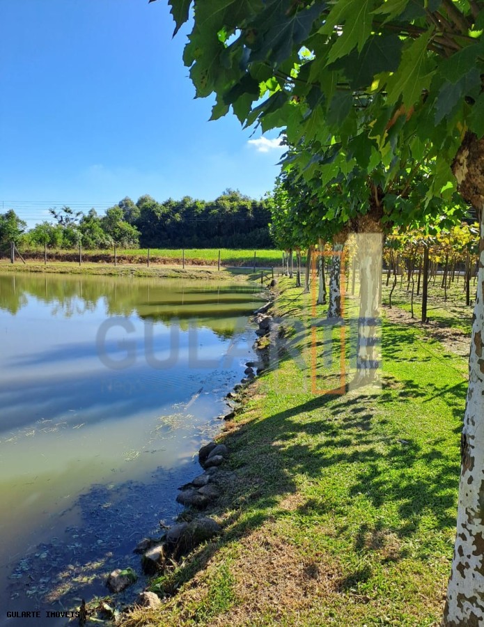 Chácara, 5 hectares - Foto 4