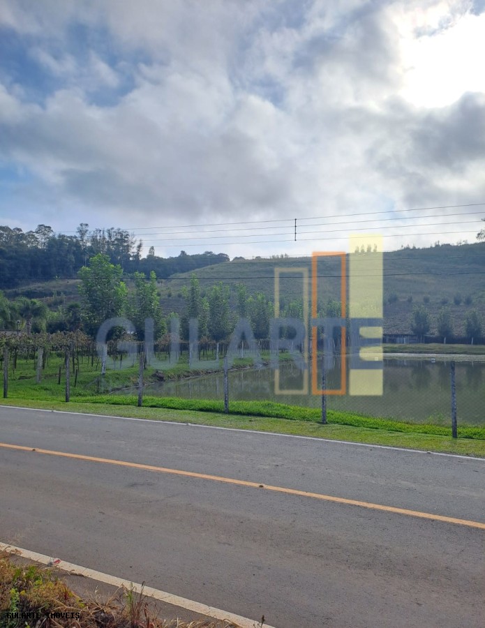 Chácara, 5 hectares - Foto 3