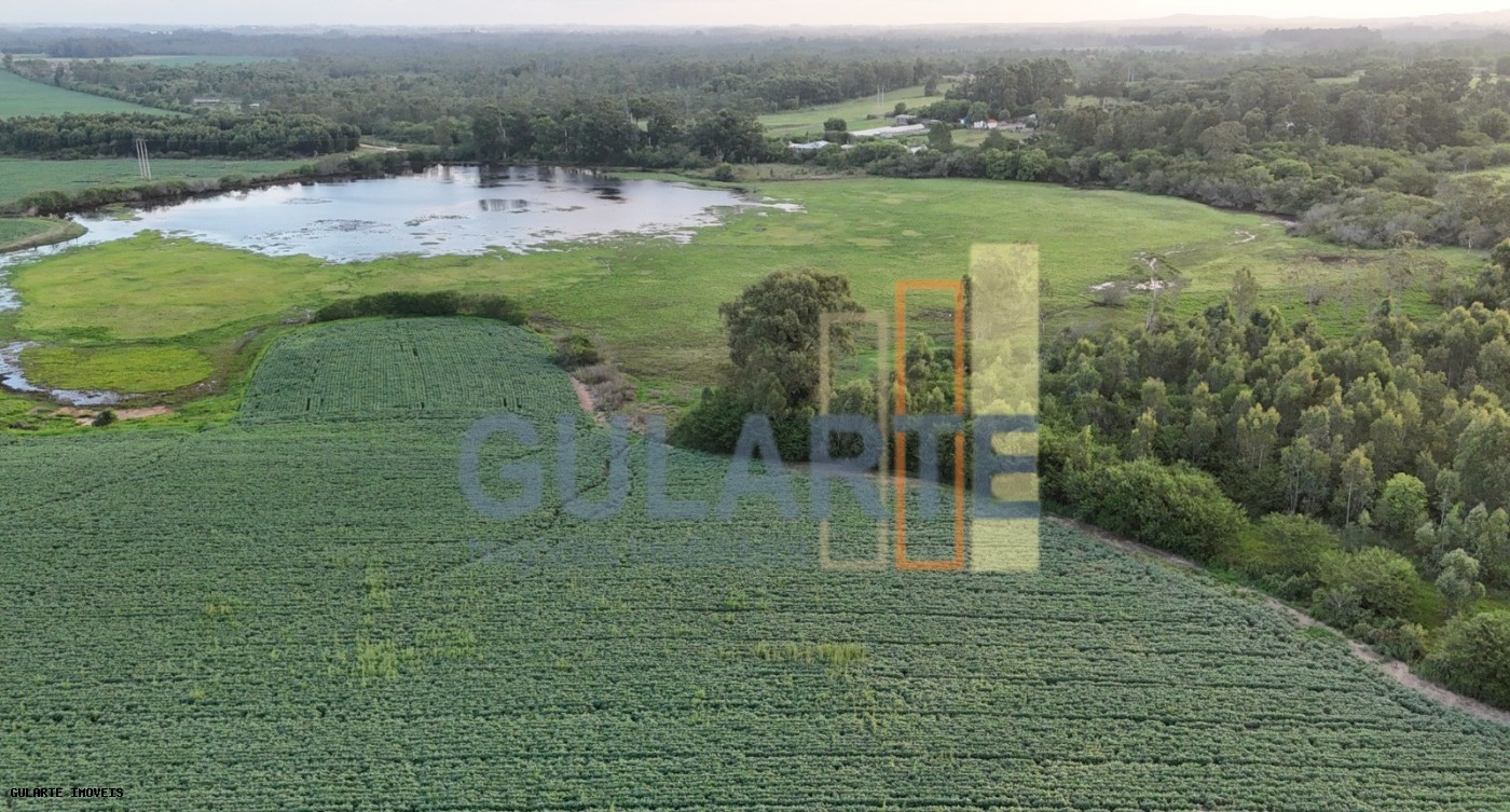 Chácara, 110 hectares - Foto 1