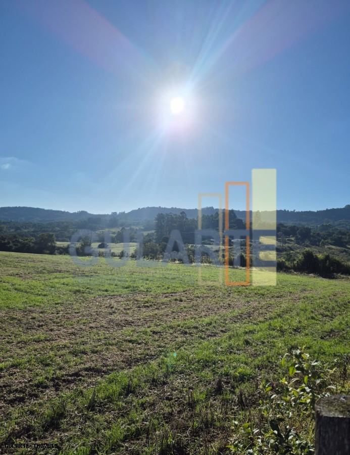 Fazenda, 58 hectares - Foto 3