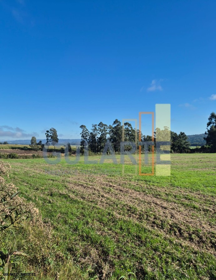 Fazenda, 58 hectares - Foto 4