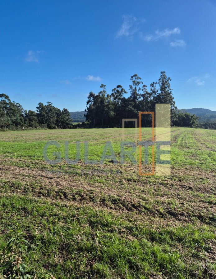 Fazenda, 58 hectares - Foto 5