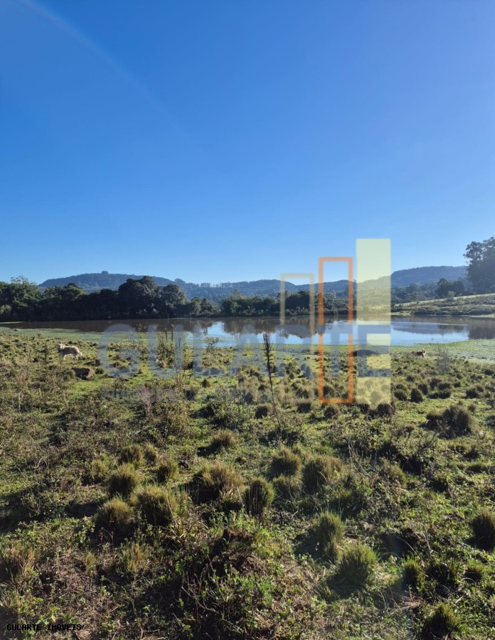 Fazenda, 58 hectares - Foto 7