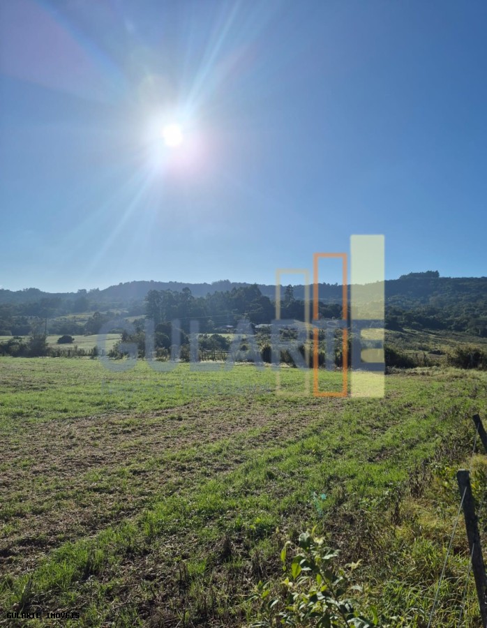 Fazenda, 58 hectares - Foto 6