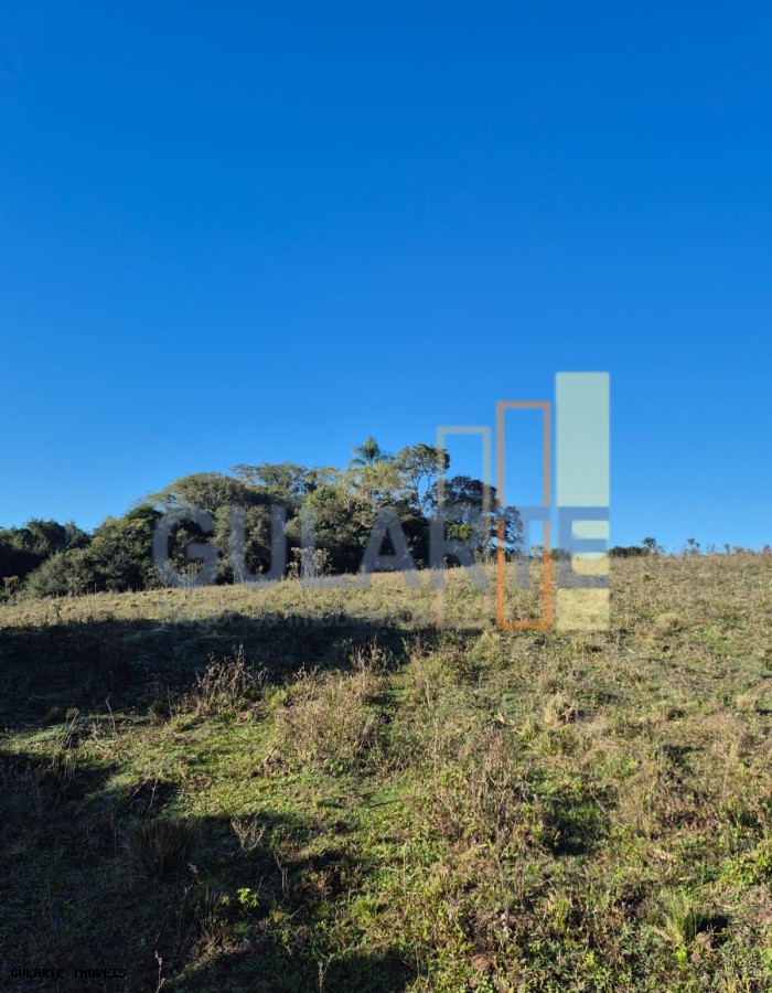 Fazenda, 58 hectares - Foto 10