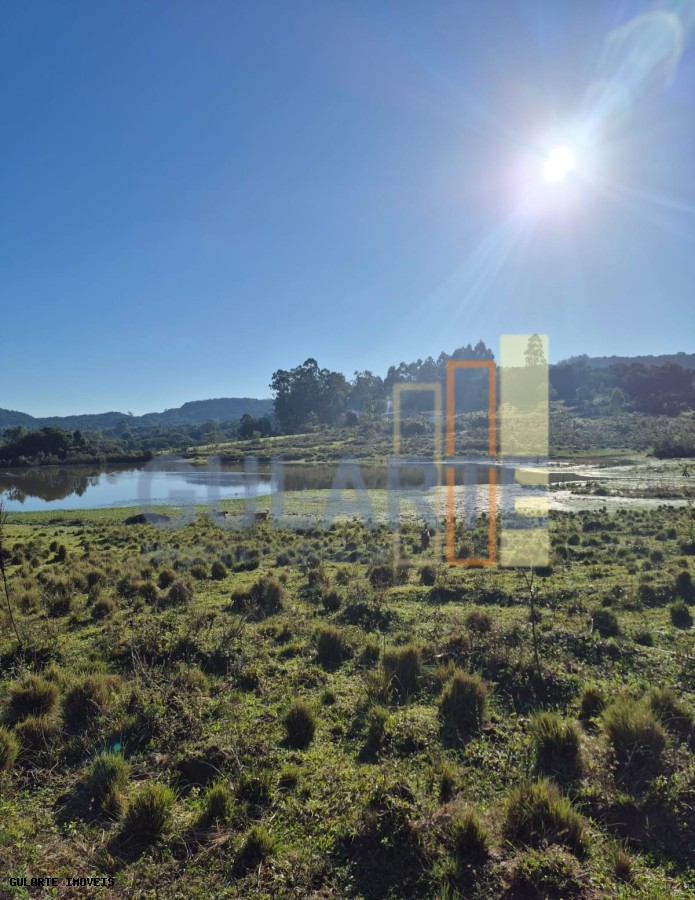 Fazenda, 58 hectares - Foto 8