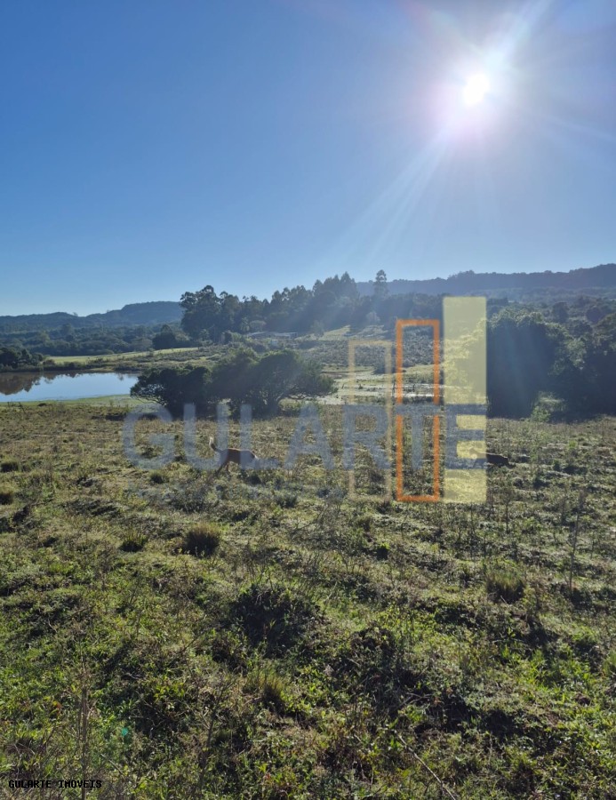Fazenda, 58 hectares - Foto 12
