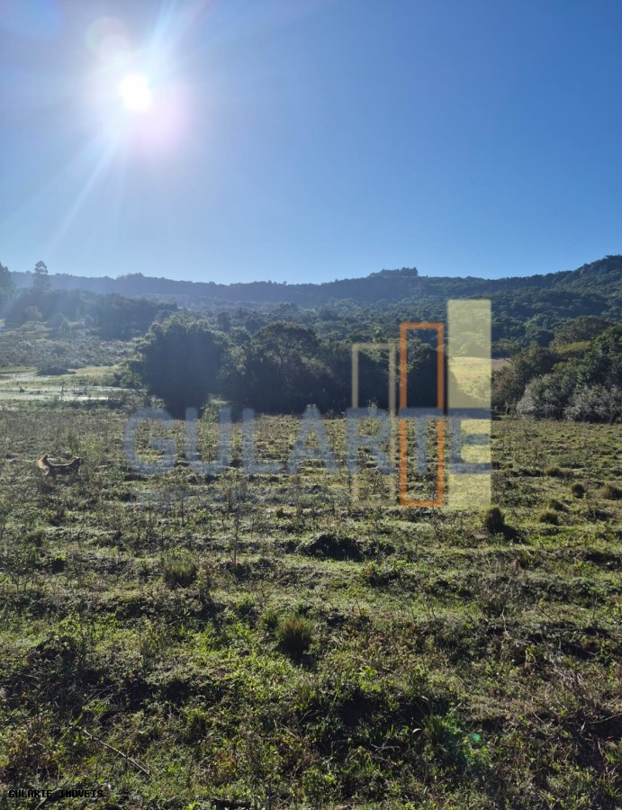Fazenda, 58 hectares - Foto 11