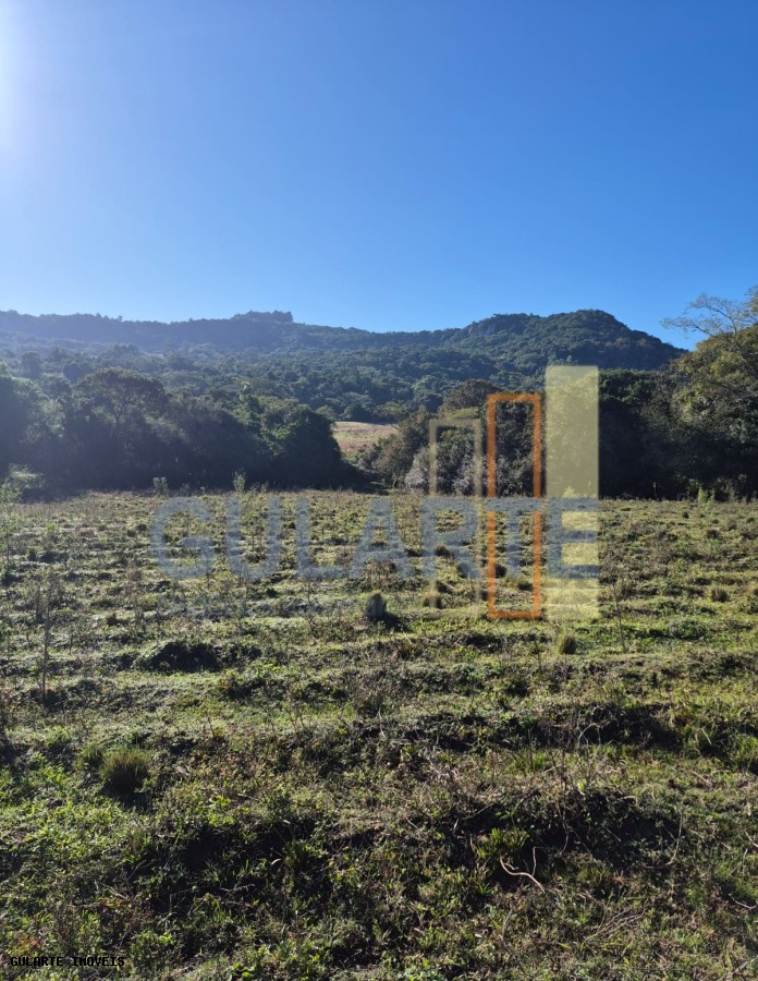 Fazenda, 58 hectares - Foto 15