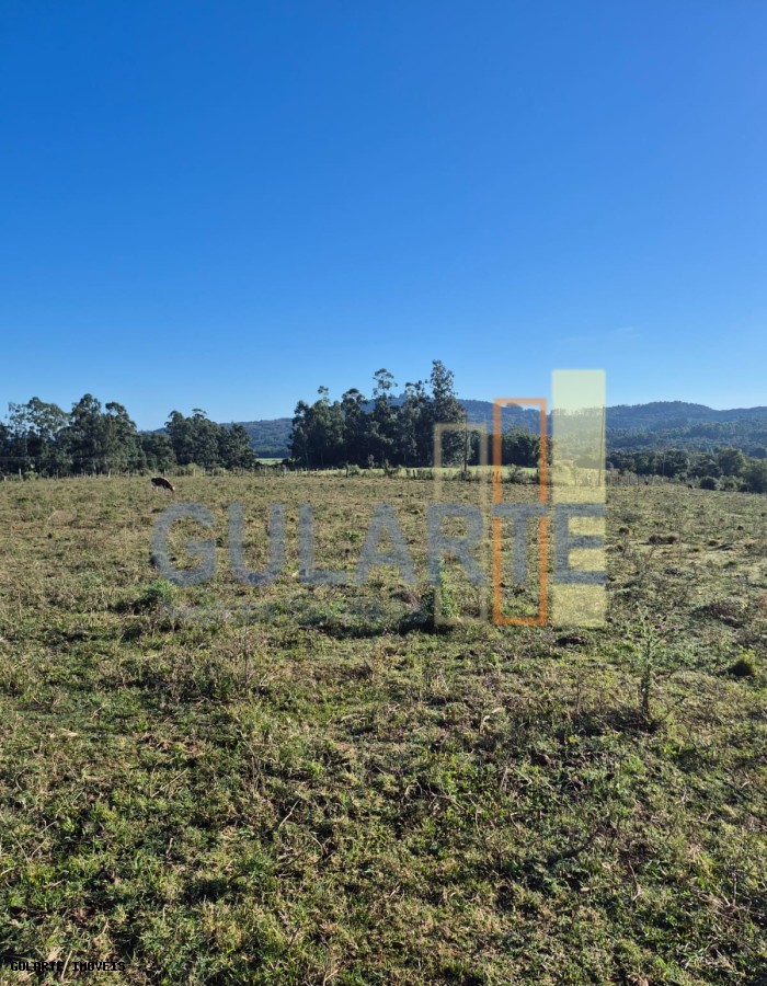 Fazenda, 58 hectares - Foto 16