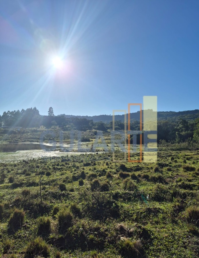 Fazenda, 58 hectares - Foto 14