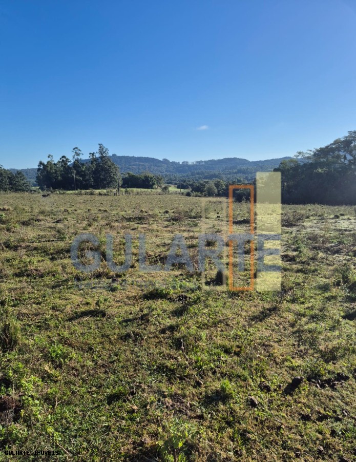 Fazenda, 58 hectares - Foto 18