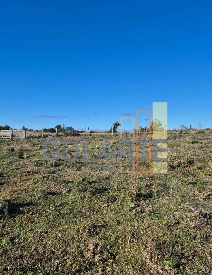 Fazenda, 58 hectares - Foto 17