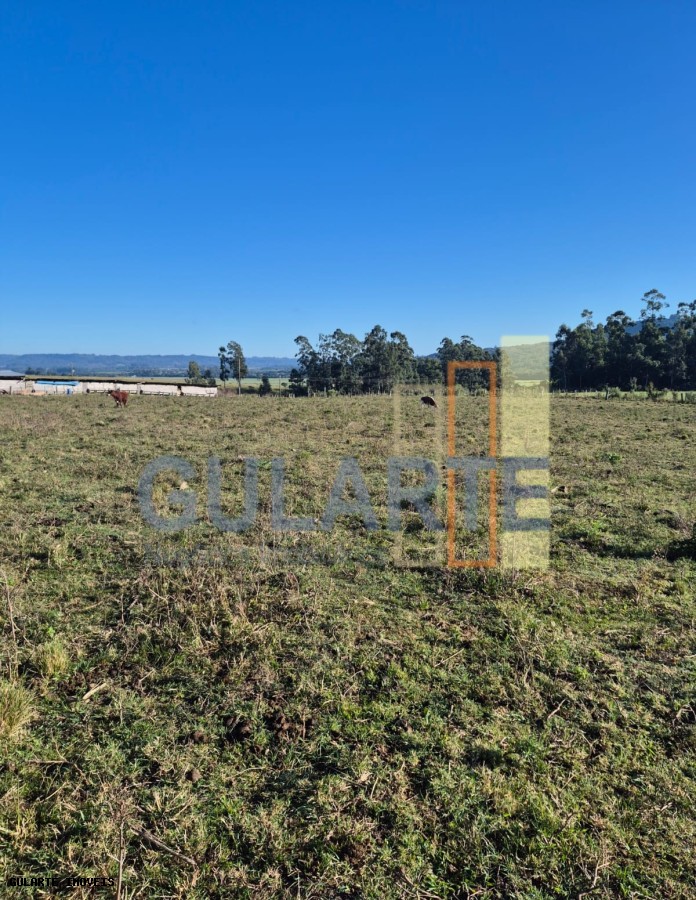 Fazenda, 58 hectares - Foto 19