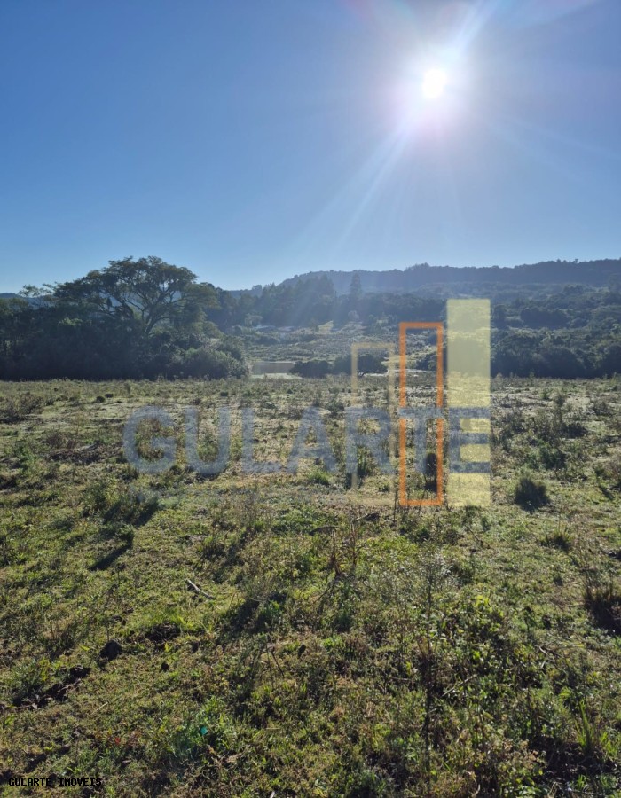 Fazenda, 58 hectares - Foto 23