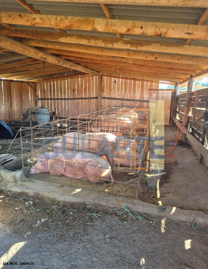 Fazenda, 58 hectares - Foto 25
