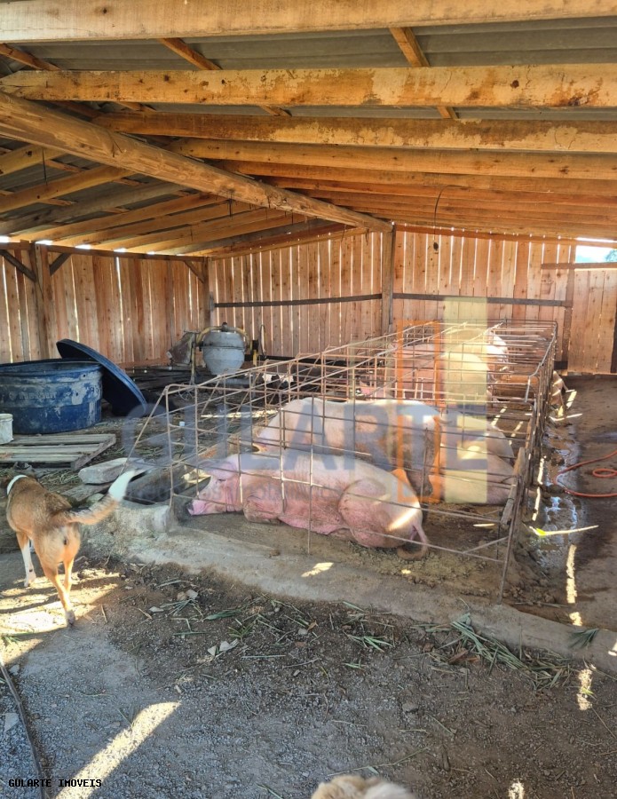 Fazenda, 58 hectares - Foto 24