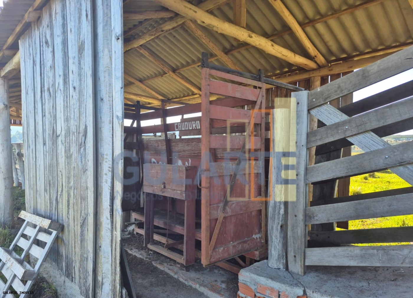 Fazenda, 58 hectares - Foto 31