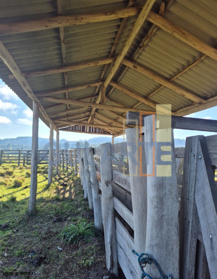 Fazenda, 58 hectares - Foto 32