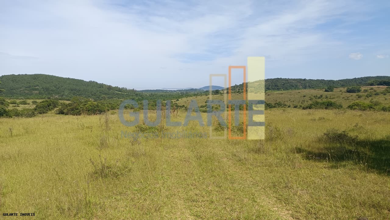 Chácara, 598 hectares - Foto 3